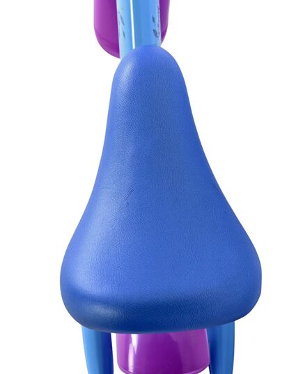 Disney Frozen loopfiets metaal