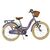 Volare Blossom Kinderfiets - Meisjes - 20 inch - Paars - Twee handremmen