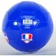 France voetbal